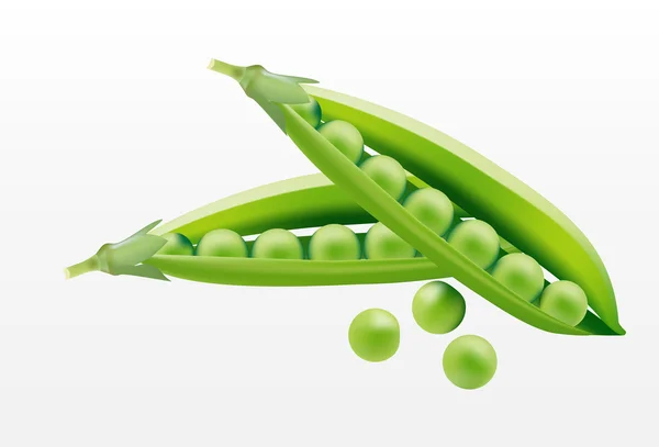 緑のエンドウ豆のポッド — ストックベクタ