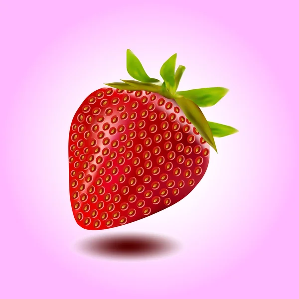 Vecteur isolé fraise — Image vectorielle