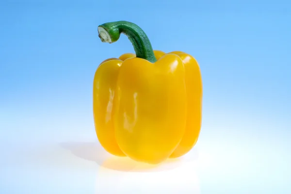 Läckra stora peppar — Stockfoto