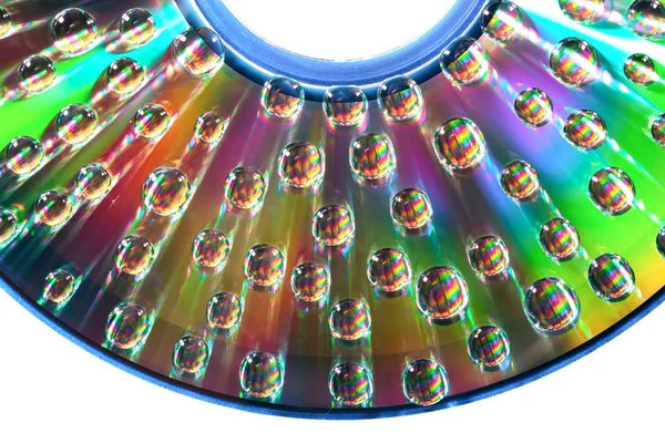 yaprağın dis üzerinde