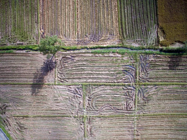 Рисовое поле с террасой в Чиангмае, Таиланд вид сверху — стоковое фото