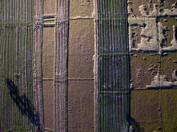 Terrasvormige Rice Field in bovenaanzicht van Chiangmai, Thailand — Stockfoto