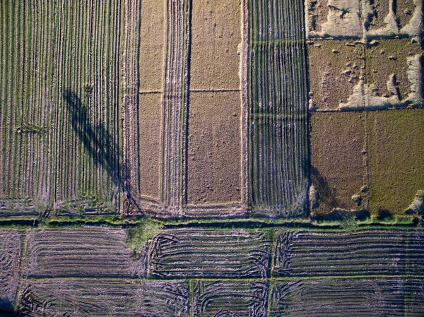 Terraced Rice Field en Chiangmai, Tailandia vista superior — Foto de Stock