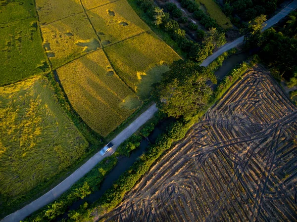 Terraced Rice Field en Chiangmai, Tailandia vista superior — Foto de Stock