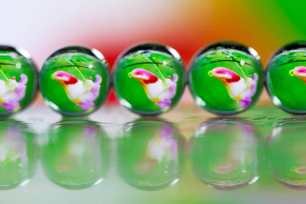 Soyut yağlı boya fırça, çiy damlacıkları gr bıçak yakından