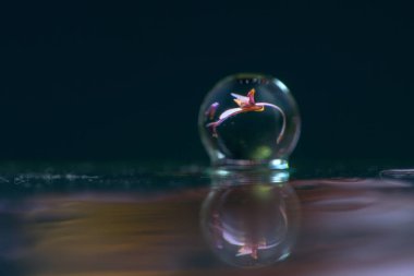 Soyut yağlı boya fırça, çiy damlacıkları yakından