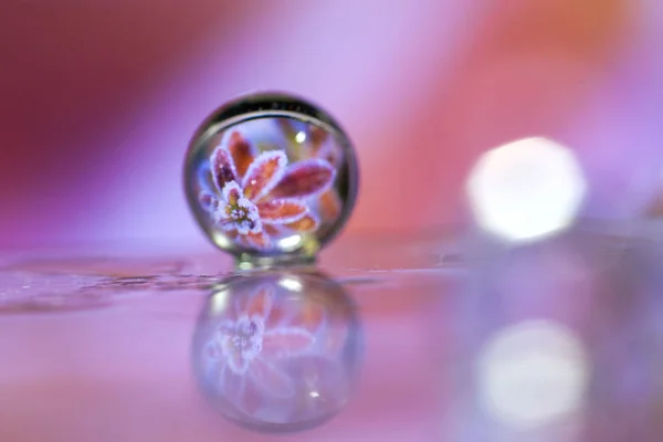 Soyut yağlı boya fırça, çiy damlacıkları yakından 