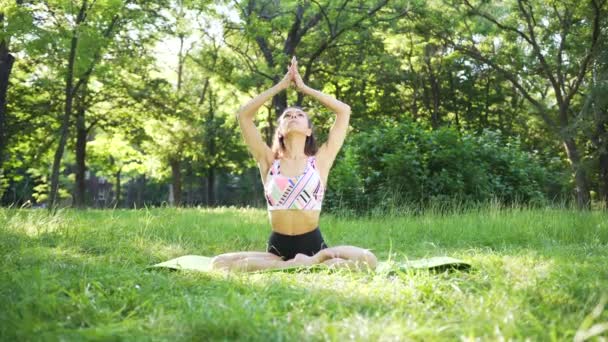 Chica Delgada Haciendo Yoga Campo Atardecer Salud Aire Libre Amplio — Vídeos de Stock