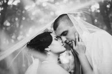 Gelin ve damat onların düğün günü romantik bir an olması