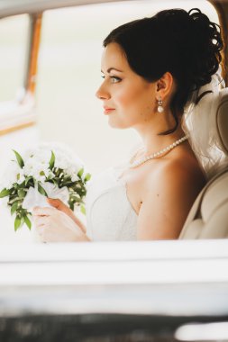 Arabada güzel gelin