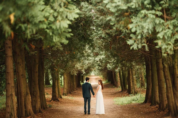 Gelin ve damat onların düğün günü romantik bir an olması
