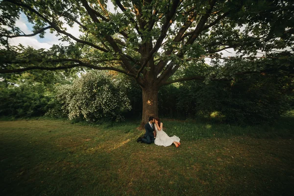 Hochzeitsfoto von Braut und Bräutigam — Stockfoto