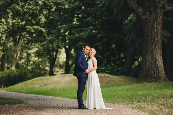 Tiro de casamento de noiva e noivo — Fotografia de Stock