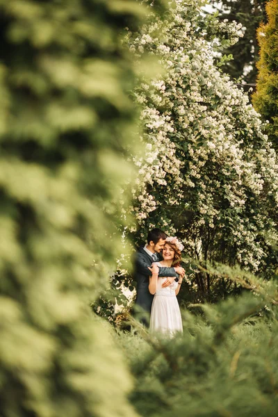 Tiro de casamento de noiva e noivo — Fotografia de Stock