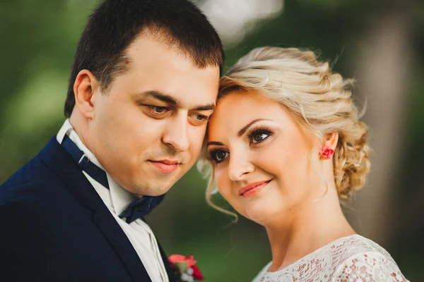 Noiva e noivo tendo um momento romântico em seu dia do casamento — Fotografia de Stock