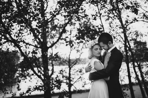 Wedding shot of bride and groom — Stock Photo, Image