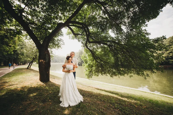 Gelin ve damat onların düğün günü romantik bir an olması