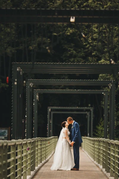 Tiro de casamento de noiva e noivo — Fotografia de Stock