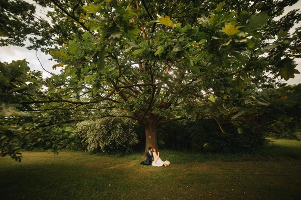 Gelin ve damat onların düğün günü romantik bir an olması