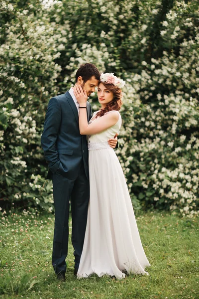 Noiva e noivo tendo um momento romântico em seu dia do casamento — Fotografia de Stock