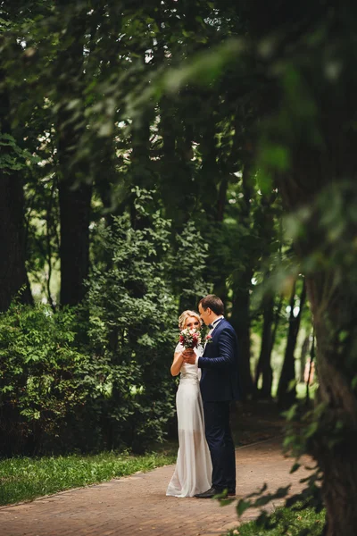 花嫁と新郎の結婚式のショット — ストック写真