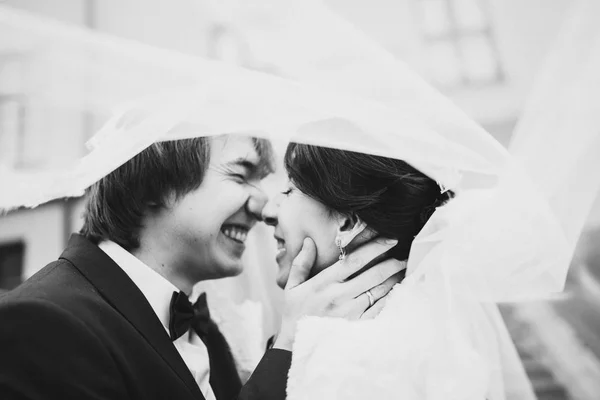 Paar in het huwelijk van de bruid en bruidegom — Stockfoto