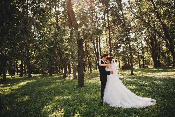 Noiva feliz e noivo em seu casamento — Fotografia de Stock