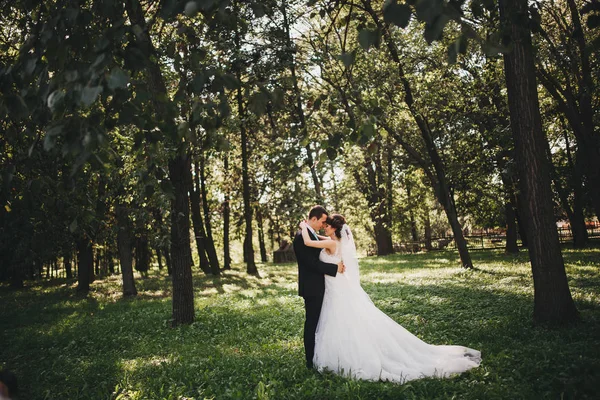 Coppia in matrimonio gli sposi — Foto Stock