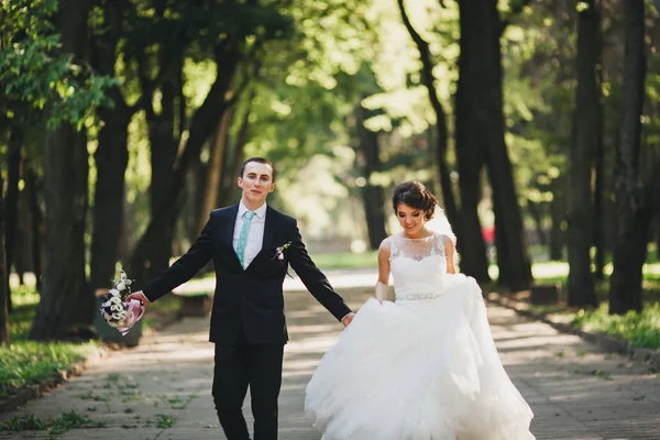 Пара на весіллі наречена і наречена — стокове фото