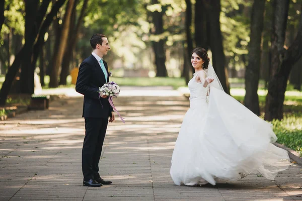 Couple dans mariage la mariée et le marié — Photo