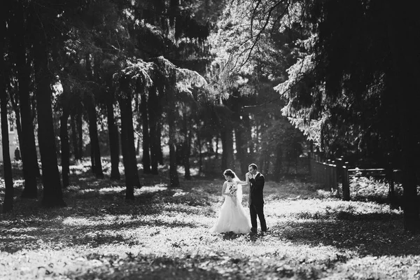 Happy bride and groom on their wedding — Stock Photo, Image