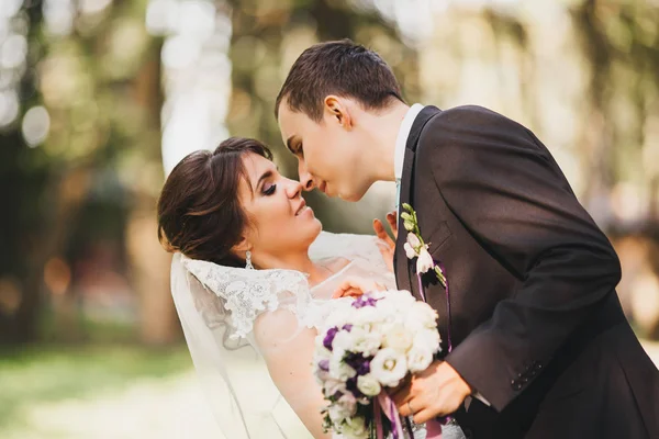 Couple dans mariage la mariée et le marié — Photo