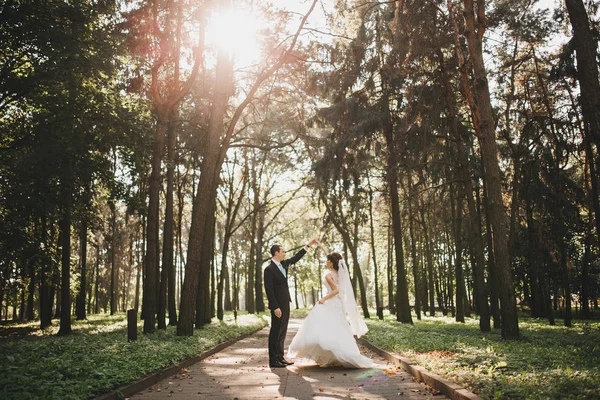 Felice sposa e lo sposo sul loro matrimonio — Foto Stock