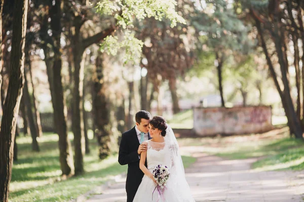 Couple dans mariage la mariée et le marié — Photo