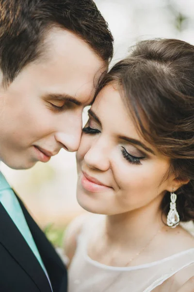 Happy bride and groom on their wedding — Stock Photo, Image