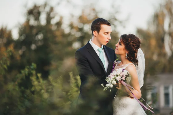 Glückliche Braut und Bräutigam zur Hochzeit — Stockfoto