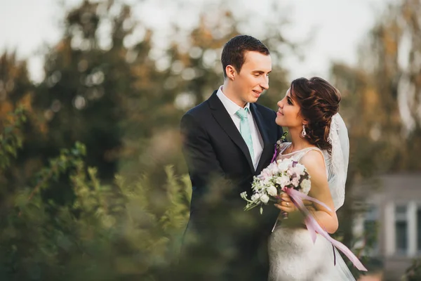 Couple dans mariage la mariée et le marié — Photo