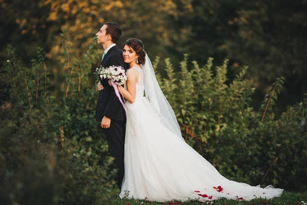 Pareja en la boda la novia y el novio —  Fotos de Stock