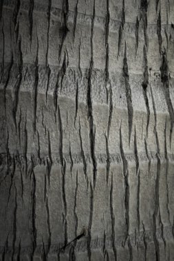 Arkaplan olarak ahşap doku