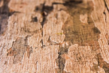 Arkaplan olarak ahşap doku