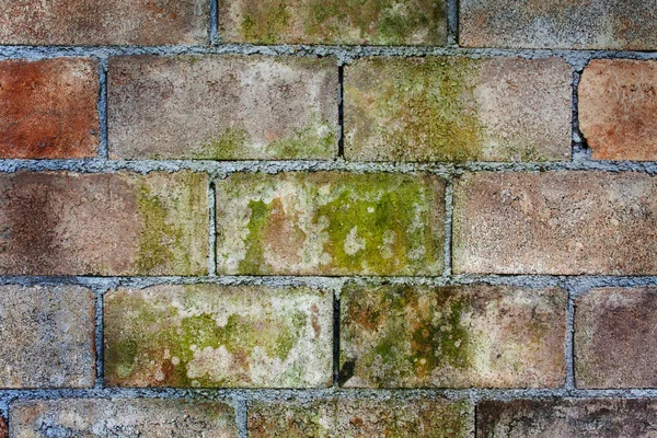 Bakgrund av tegel vägg struktur — Stockfoto