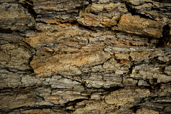 Textura de madera como fondo — Foto de Stock