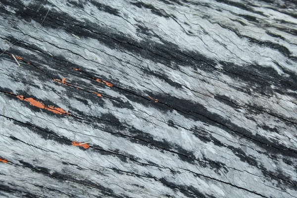 Textura de madera como fondo —  Fotos de Stock