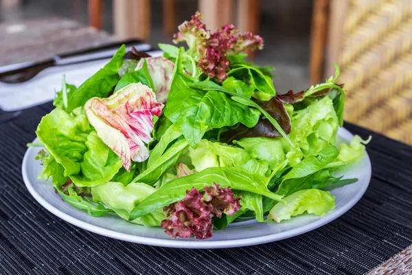 Свіжий весняний мікс салат на білій тарілці — стокове фото