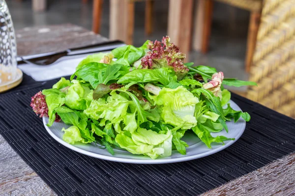 Verse lente mix salade op witte plaat — Stockfoto