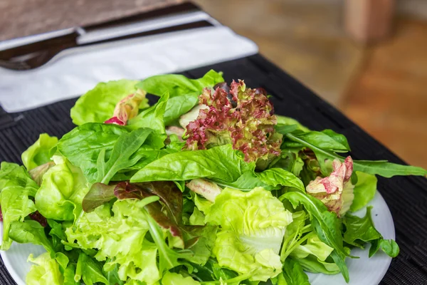 Salada fresca da mistura da mola na placa branca — Fotografia de Stock