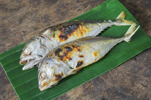 バナナの葉に鯖の西京焼き — ストック写真