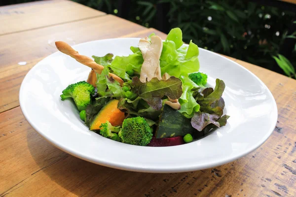 Salada hidropônica mista de legumes — Fotografia de Stock