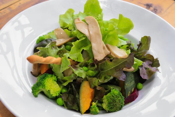Salada hidropônica mista de legumes — Fotografia de Stock