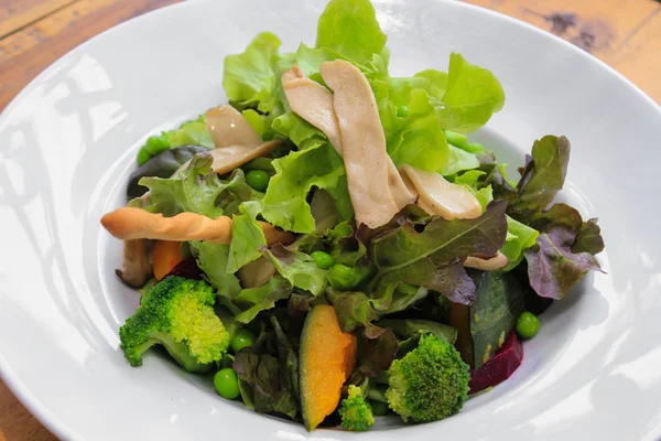 Ensalada de verduras hidropónicas mixtas —  Fotos de Stock